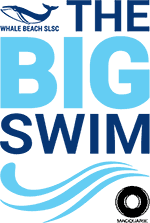 The Big Swim