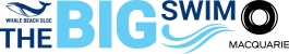 The Big Swim Logo