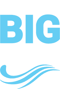 The Big Swim logo
