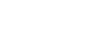 The Big Swim logo
